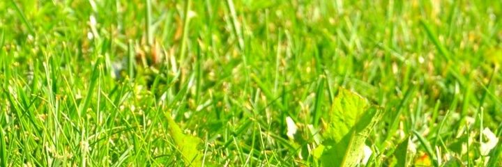 jegh911's profile banner image