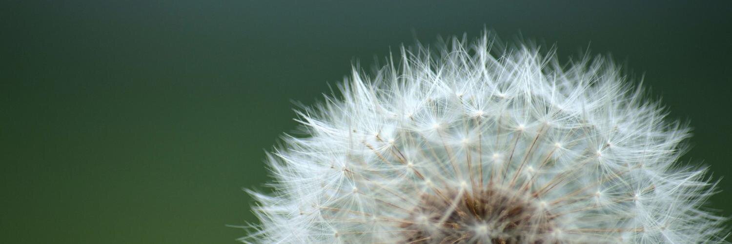 EstherOvermars's profile banner image