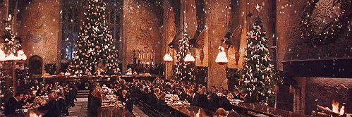 maciriggs's profile banner image