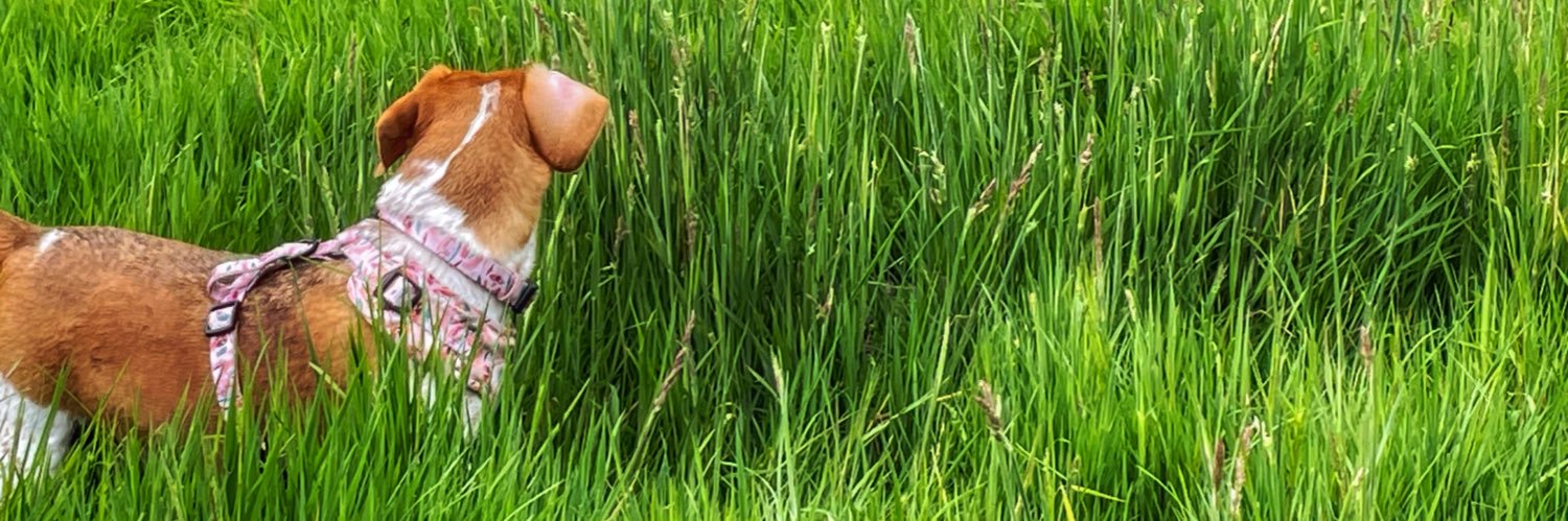 PeteP02's profile banner image