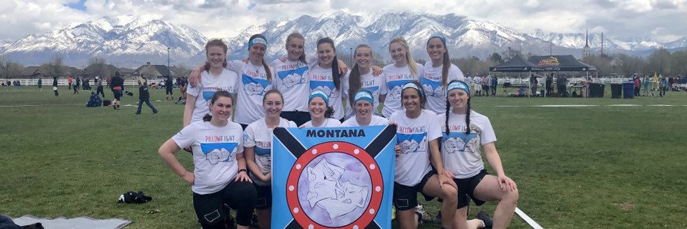 Montana PillowFight banner