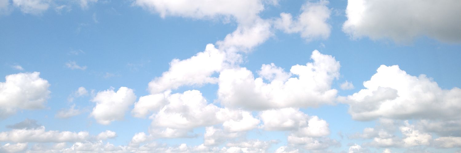 Marjon de Vos banner