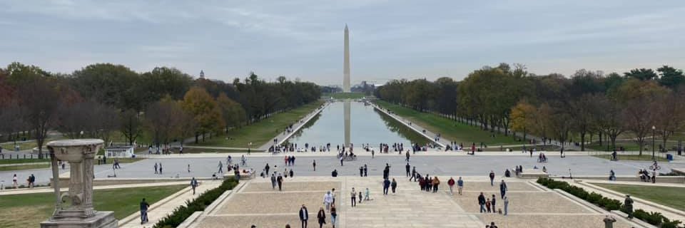 Steven E Bauer banner