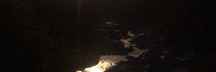 True_Until_Deth's profile banner image