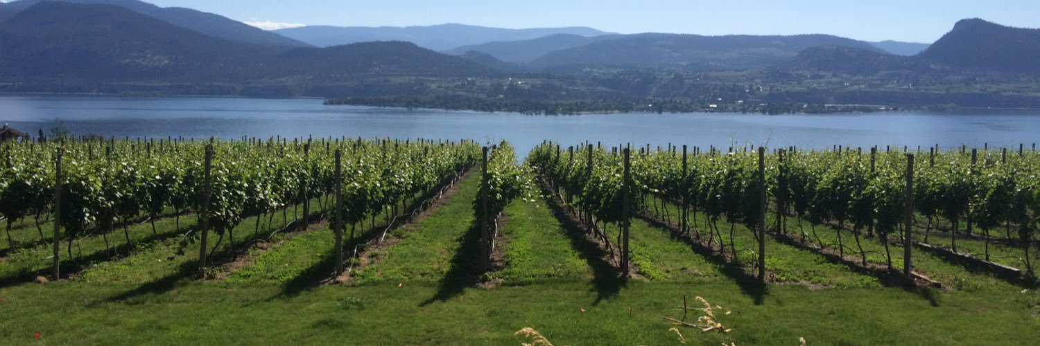 Deep Roots Winery banner