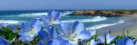 saharawi's profile banner image