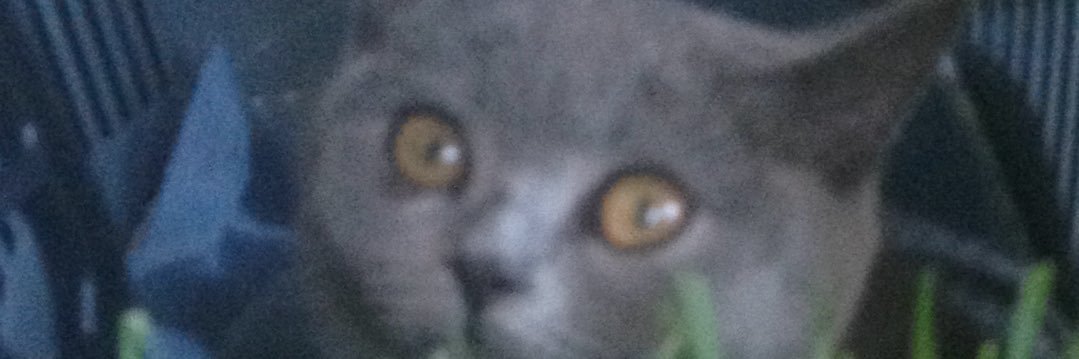 HlyaHusna's profile banner image