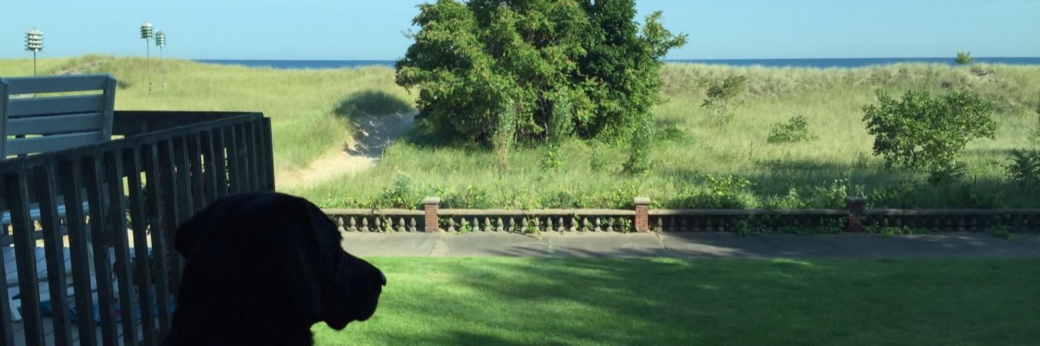 liddelljohnson's profile banner image