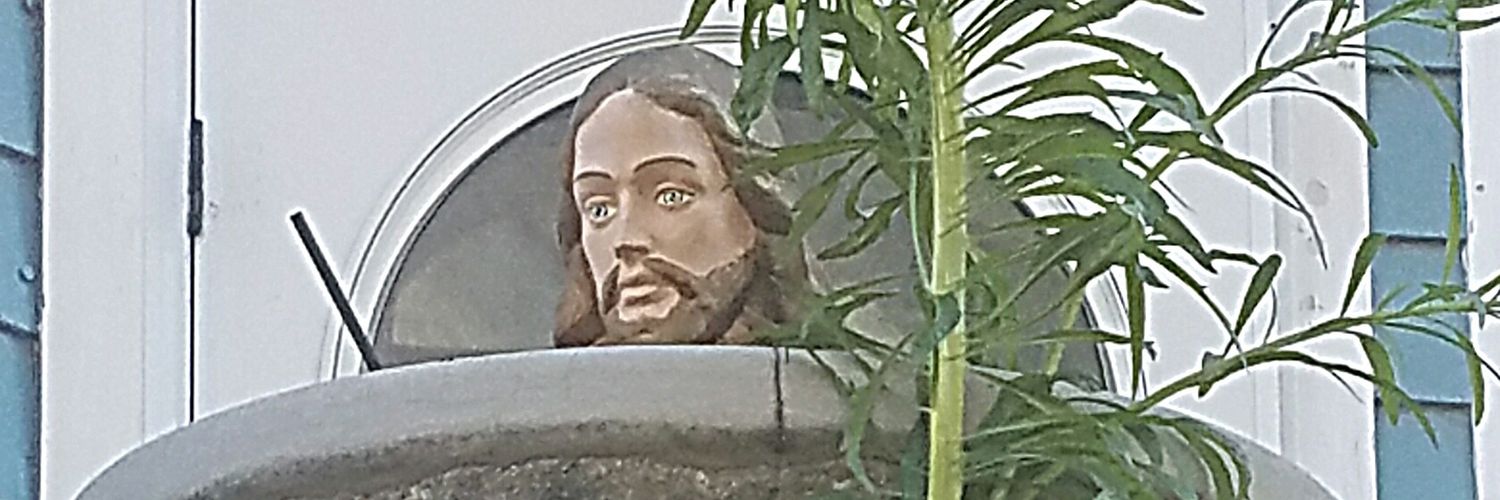 jillthewhat's profile banner image