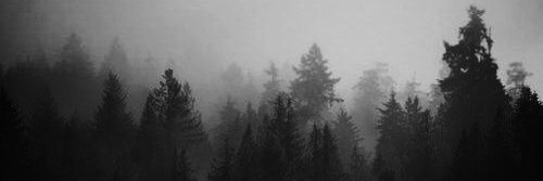 Liberate_Me_'s profile banner image
