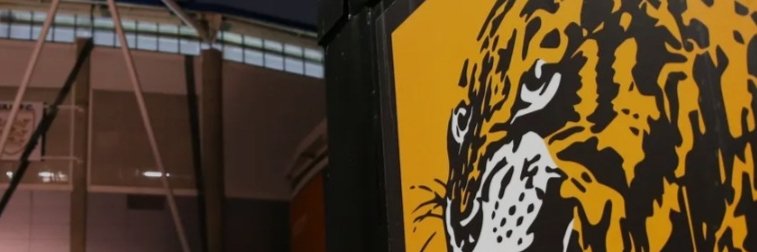 Markoxbig's profile banner image