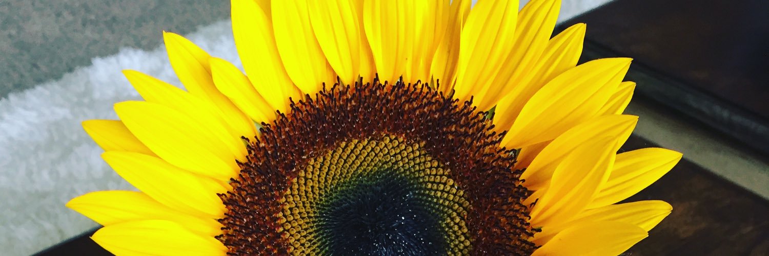 Saruh_Mac's profile banner image