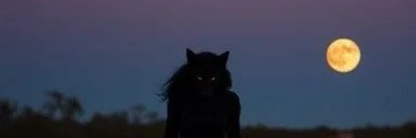 bardstereotype Profile Banner