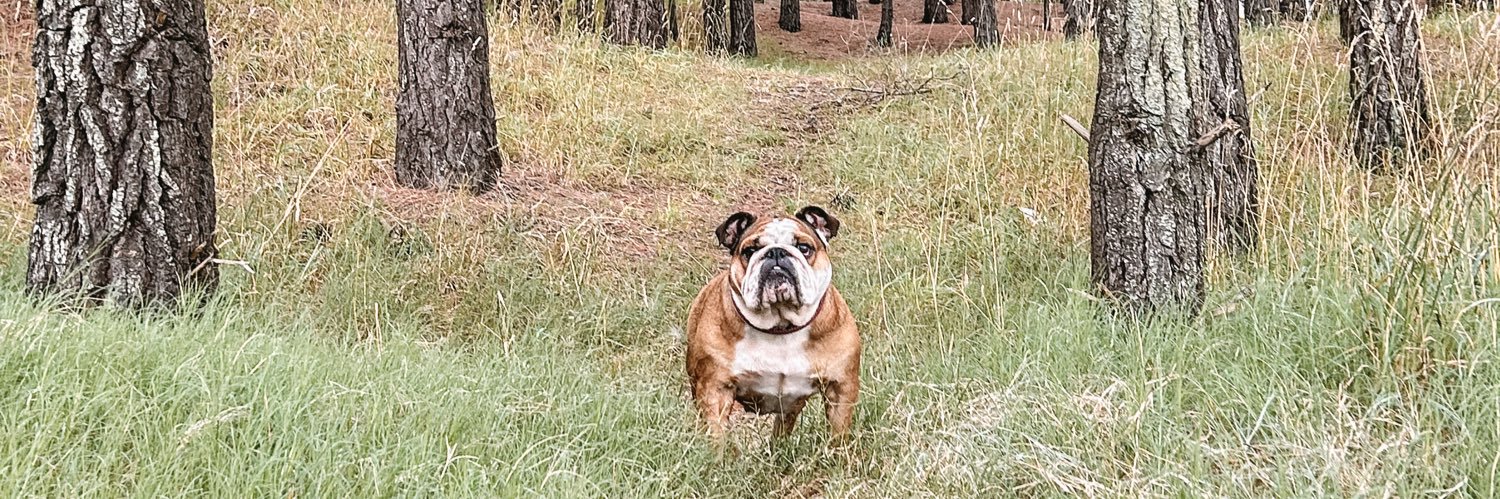 cotiperroud_'s profile banner image