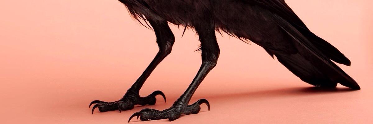soyrulay's profile banner image