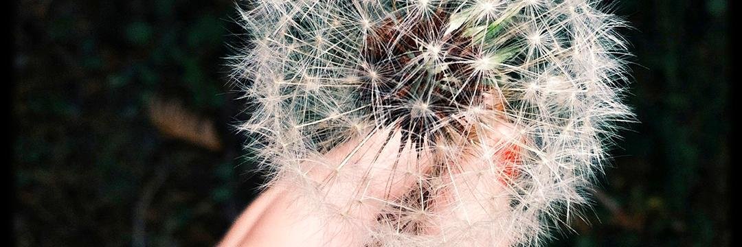 DoYouVoloe's profile banner image
