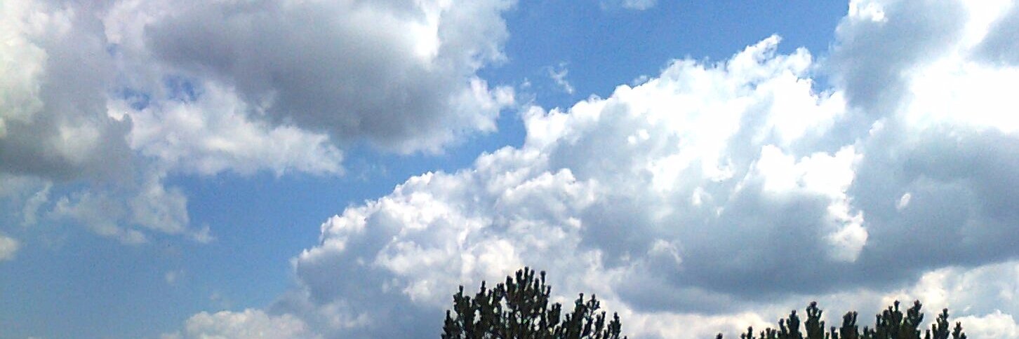 aretousa1's profile banner image