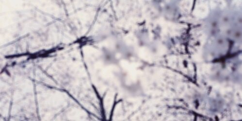 emilyRPGUTD_'s profile banner image