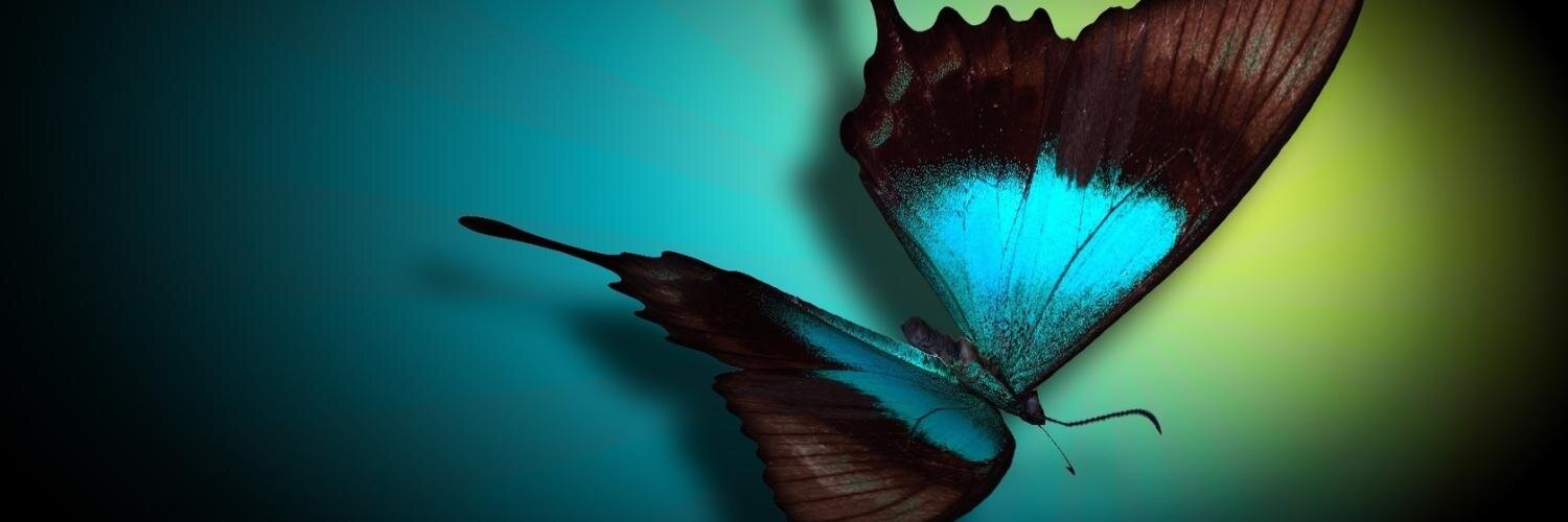 MorphTheMoth's profile banner image