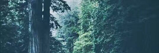 lisadiera97's profile banner image