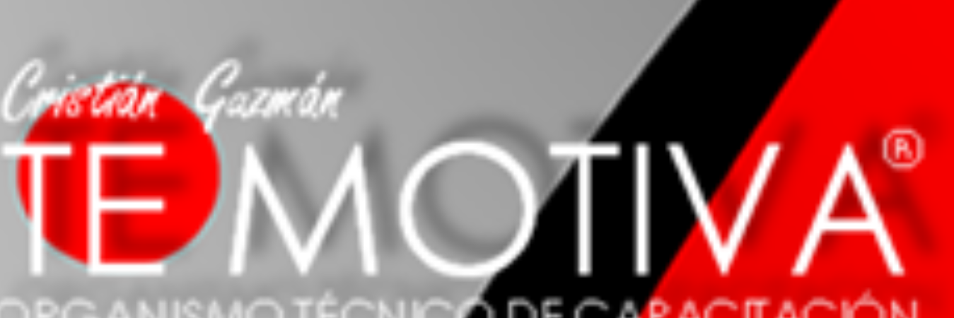 TE MOTIVA banner
