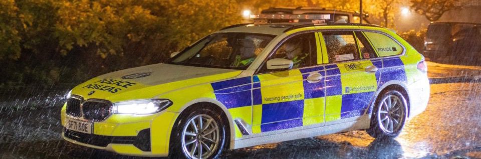 Stewart Carle banner