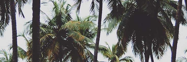 holdinteja's profile banner image