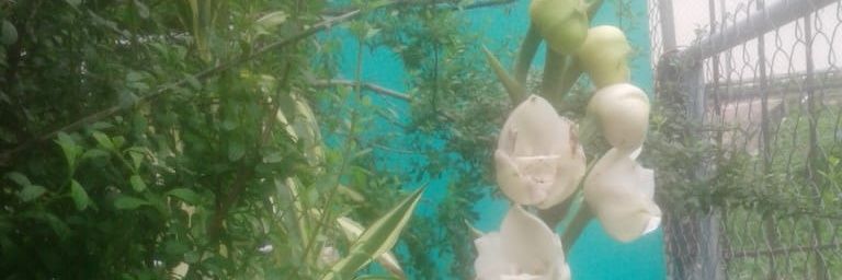 cesarcesar914's profile banner image