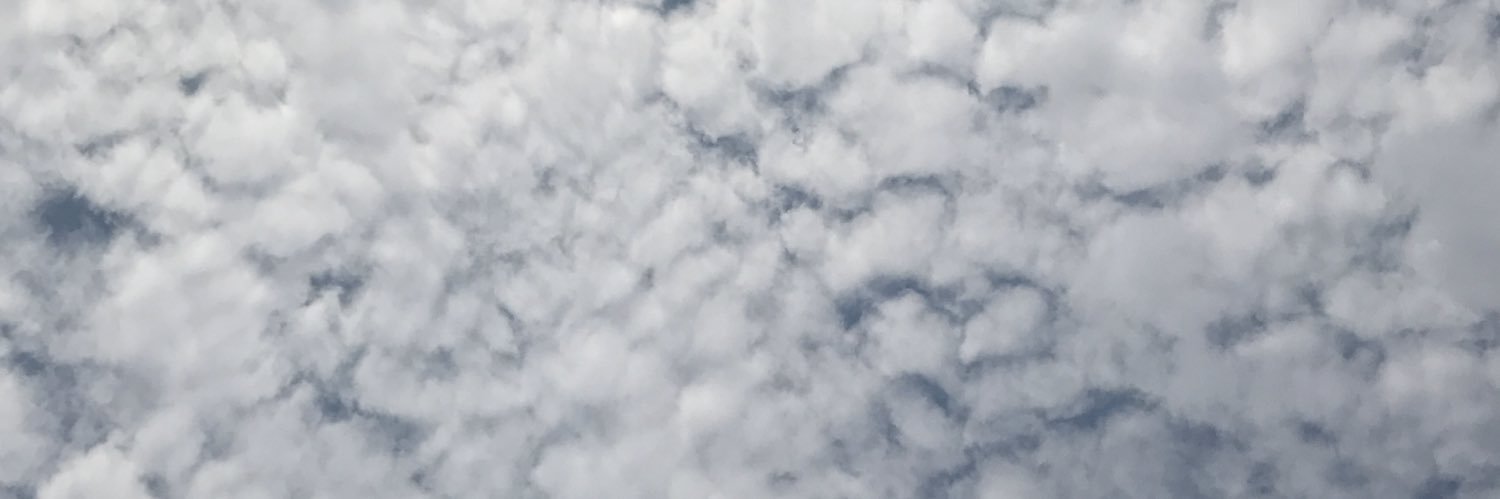 Dealzz's profile banner image