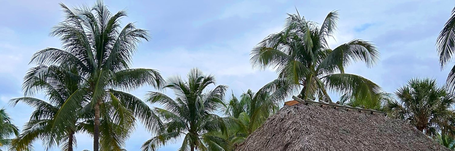 tdaxo's profile banner image