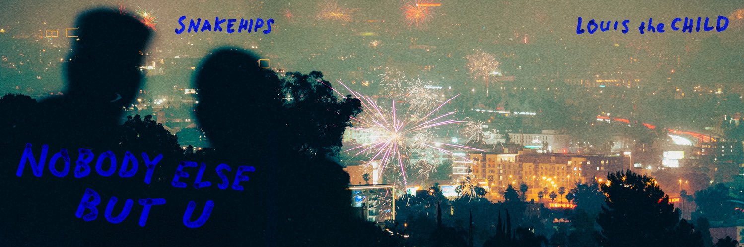 SNAKEHIPS（ミ￣ー￣ミ）'s banner