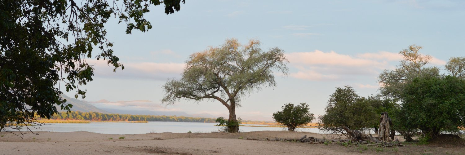 PBwawa's profile banner image