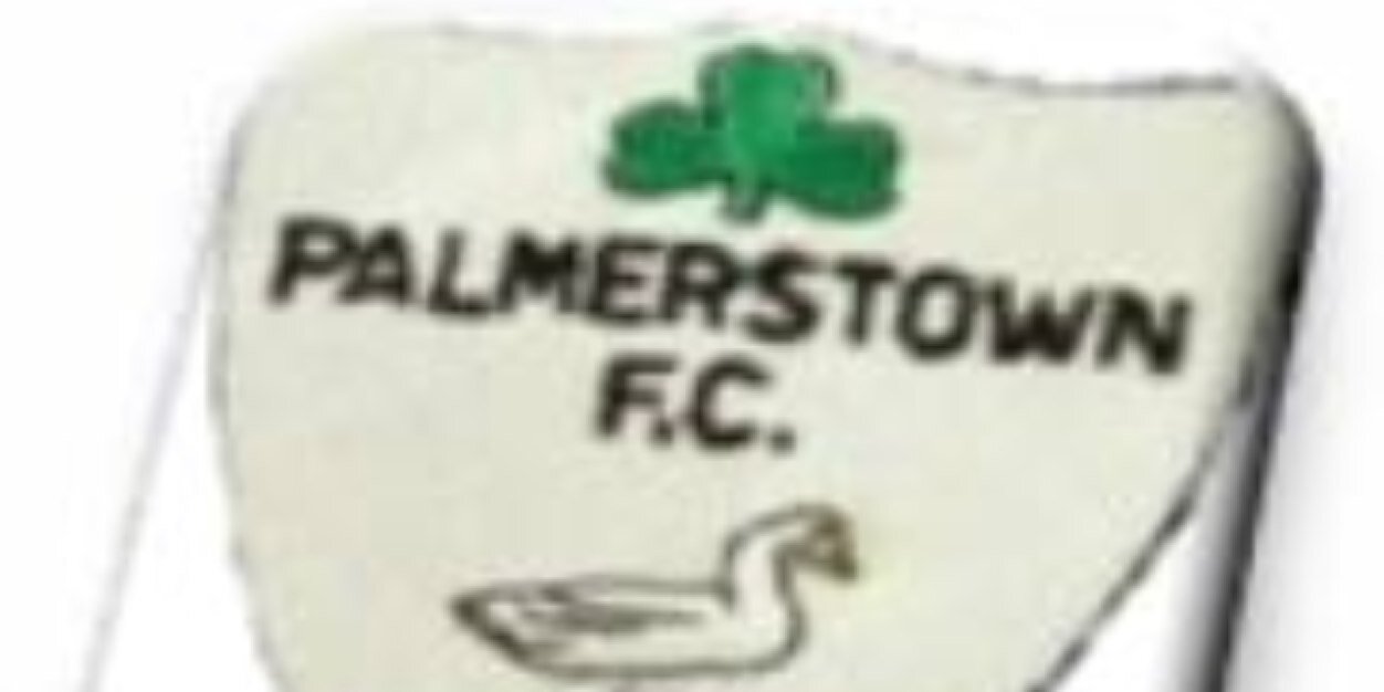palmerstown fc banner