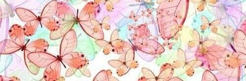 Alexa Bendaña banner