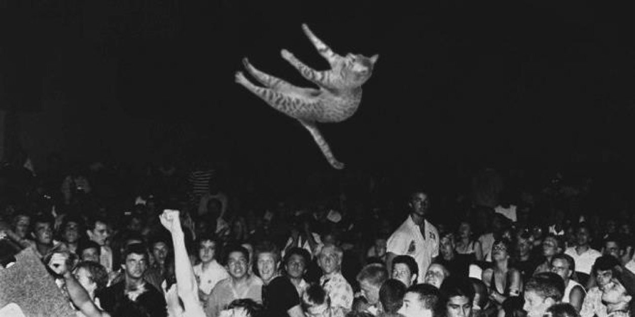 Riley_B_'s profile banner image