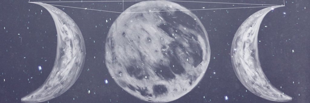 allypallygal's profile banner image
