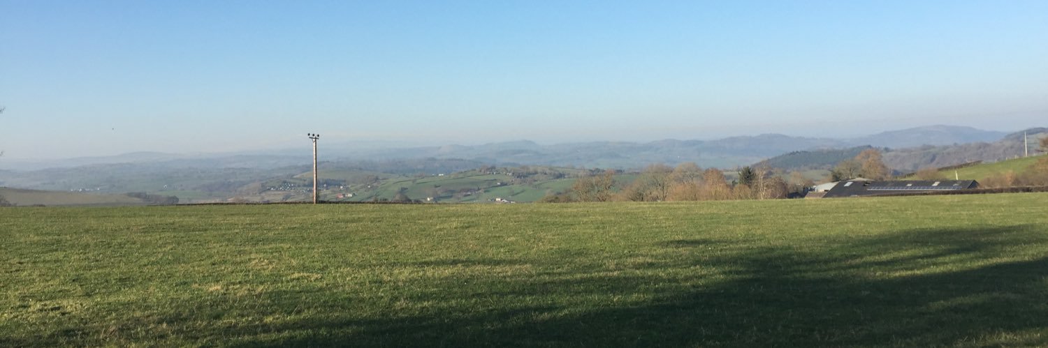 WritingWalking's profile banner image