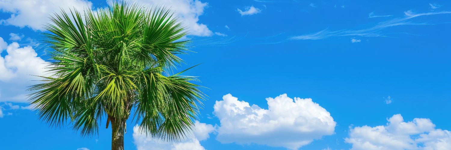 Palmetto_Sol's profile banner image