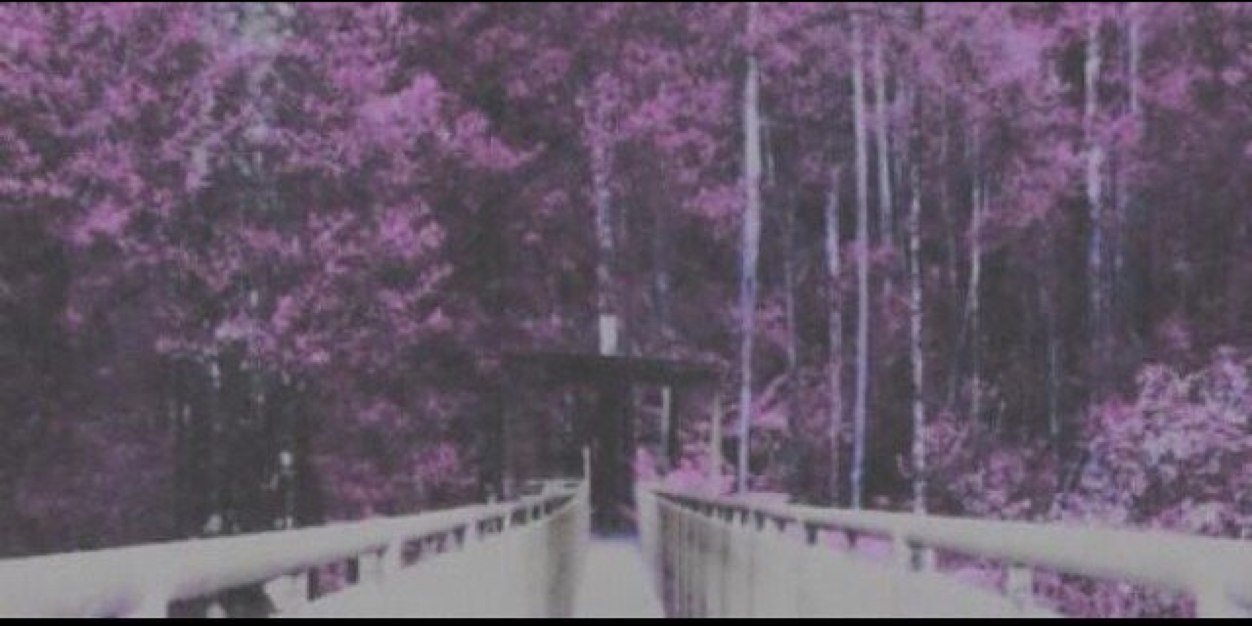 dafuqmatt's profile banner image
