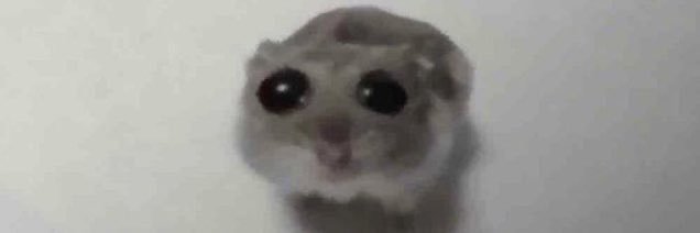 tyyllleeeerrrr's profile banner image