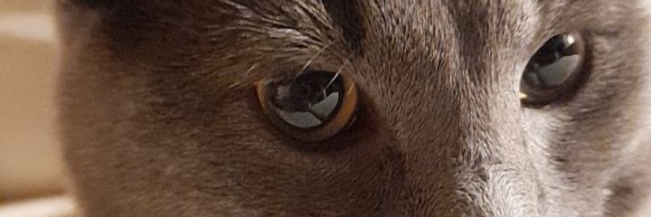 burke_mj's profile banner image
