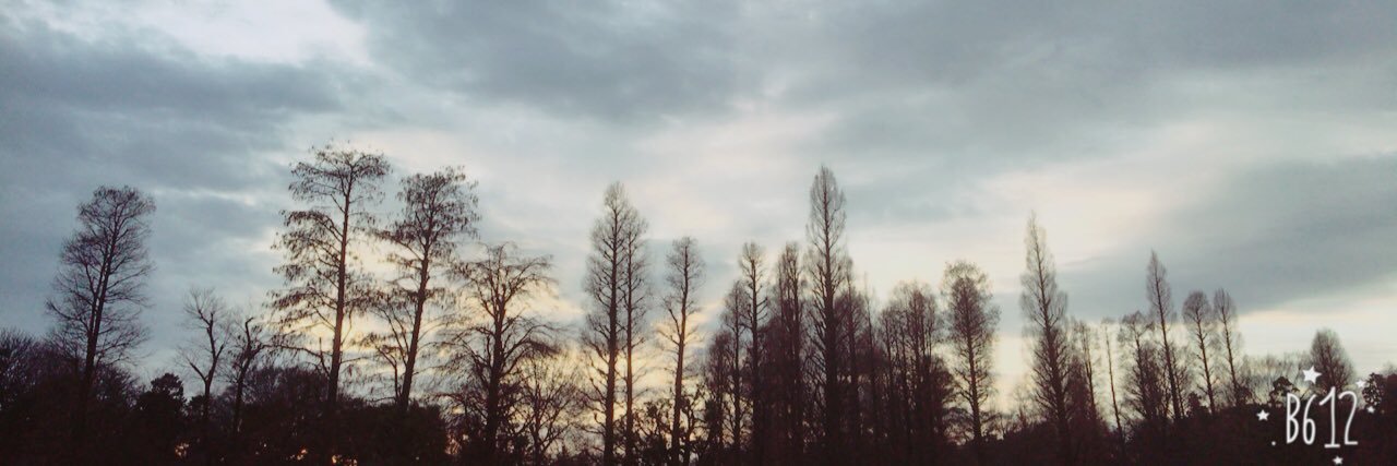 AnaMomo3737's profile banner image