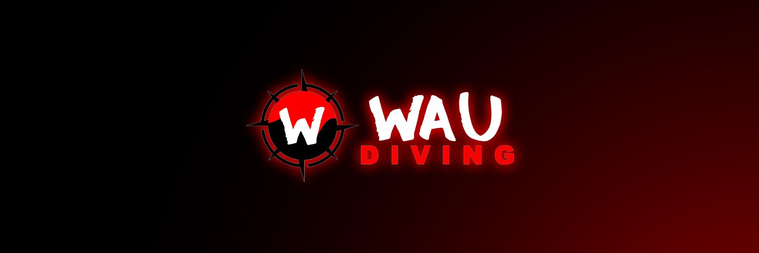 waudiving's profile banner image