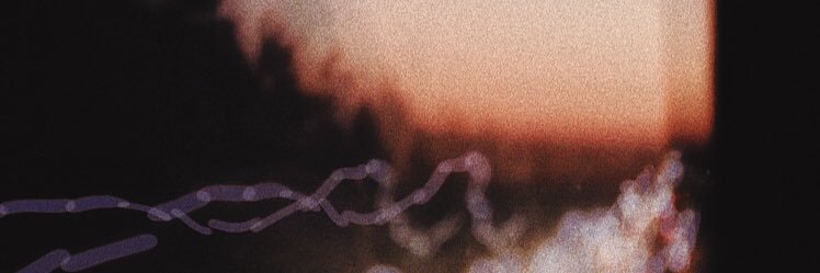 alcewinchester's profile banner image