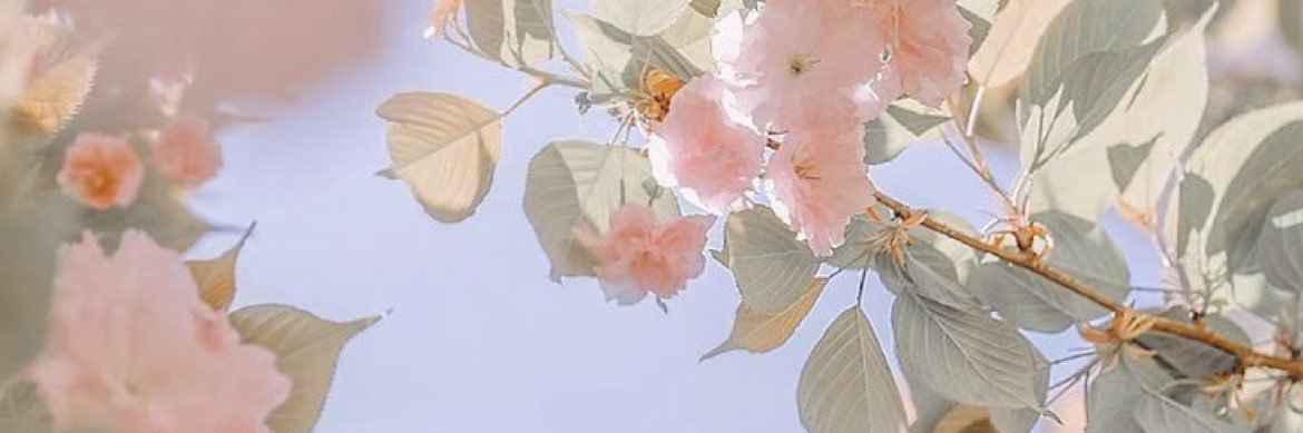 iSara94__'s profile banner image