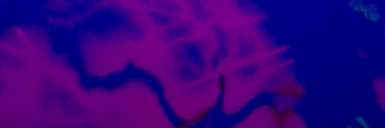 summertimewag's profile banner image