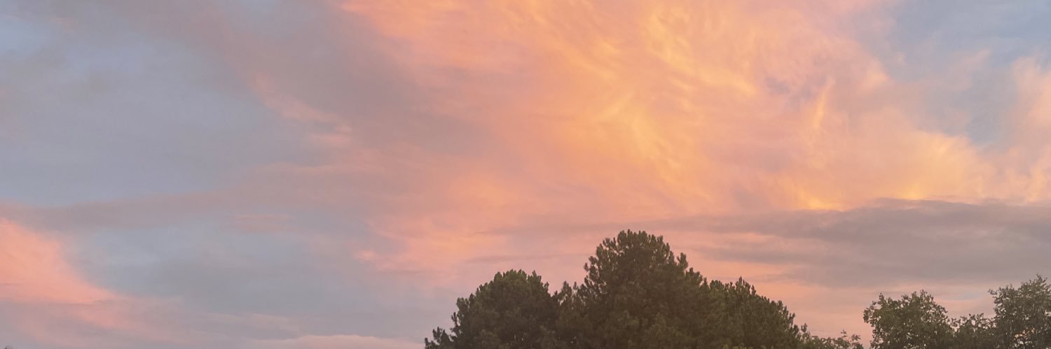 smileyyljp's profile banner image