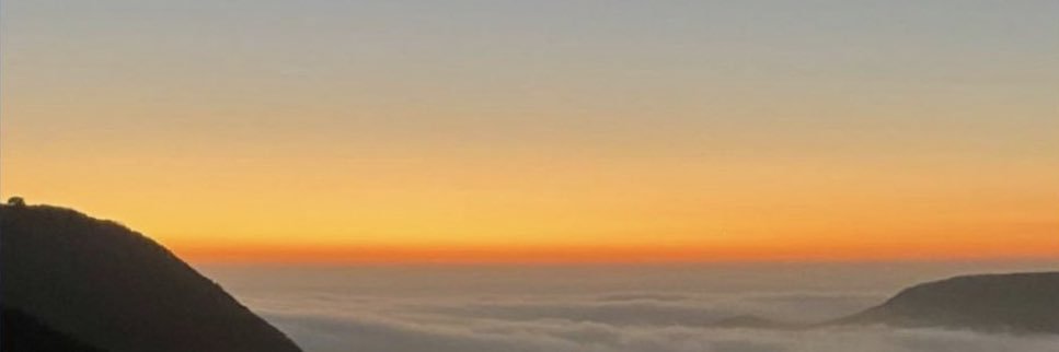 haley b 🏳️‍🌈 banner