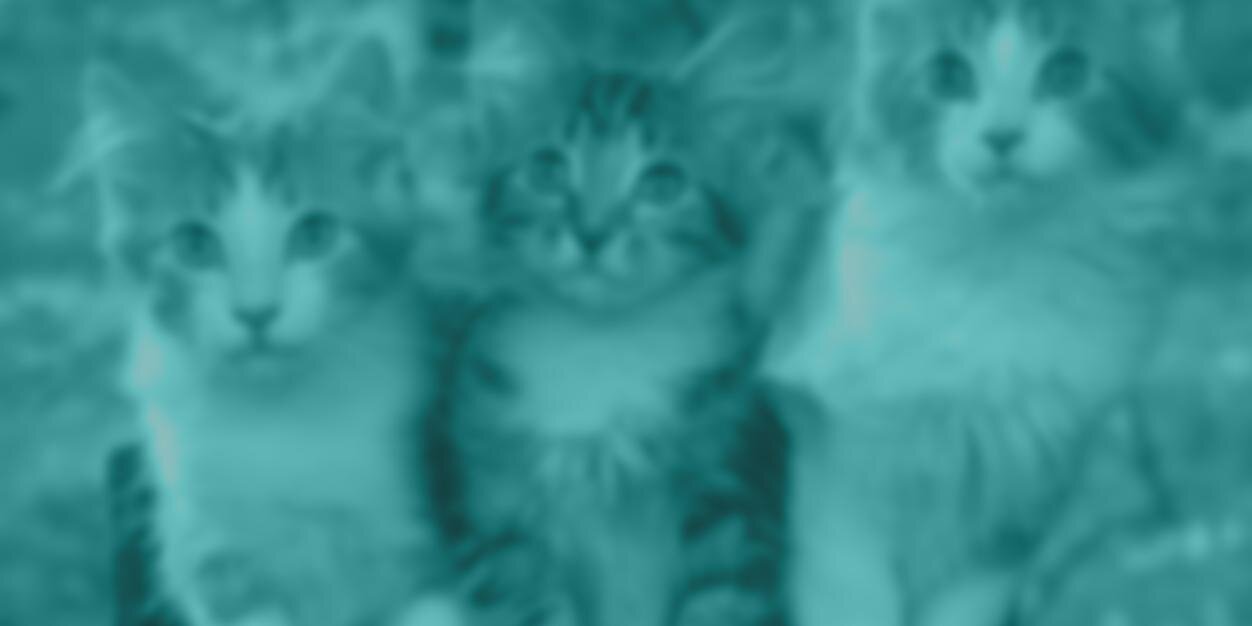 instapult's profile banner image