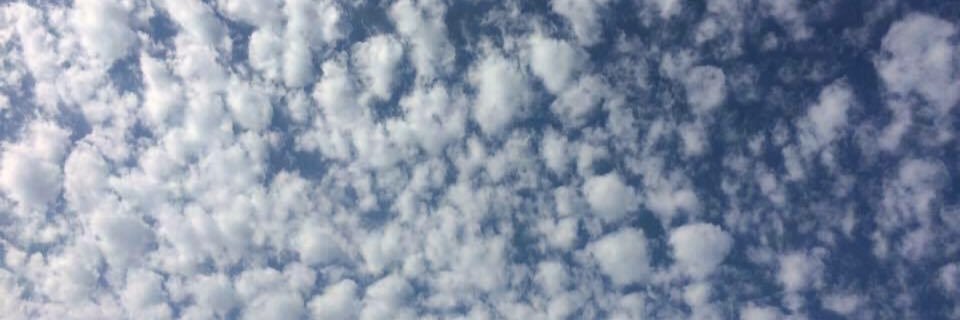 Horacio Chavira banner